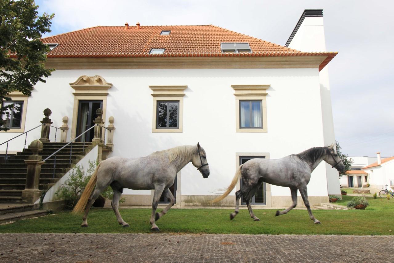 Quinta Da Aldeia De Avanca Zewnętrze zdjęcie